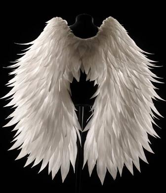 Крылья ангела на заказ