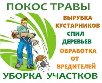 Покос травы и кронирование деревьев