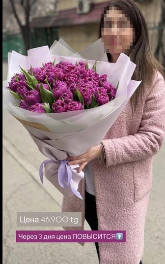 Тюльпаны оптом, розница