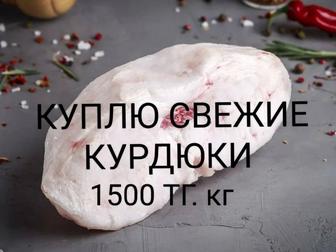 Курдюк бараний свежии