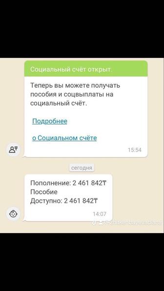 Сопровождение в декрет/Ведение ИП