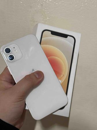 iPhone 12 айфон 12