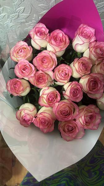 Предлагаю услуги няни