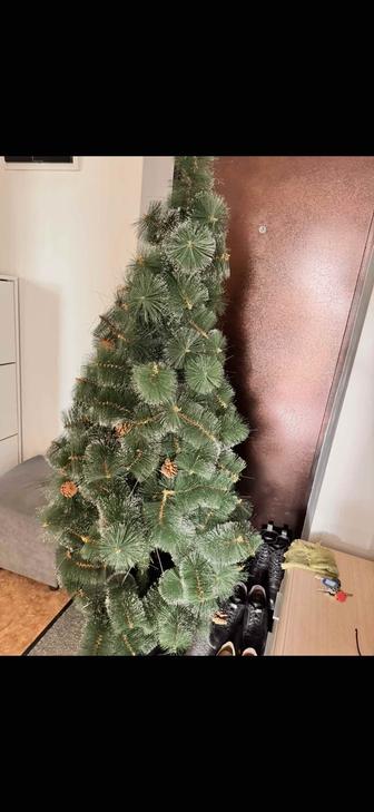 Продам елку