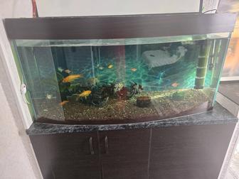 Продам аквариум на 280л