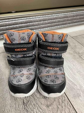 Сапоги Geox не дорого