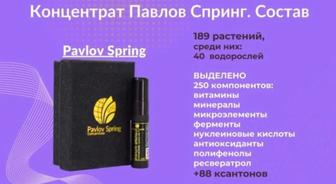 Pavlov spring. Павлов Спринг. Nano balsam. Нано бальзам. Доставка. Оригинал