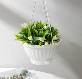 Керамическое и пластиковое кашпо для цветов