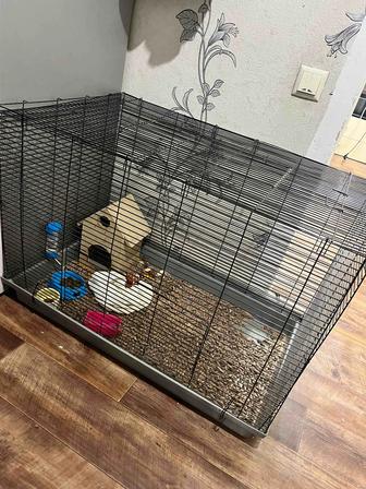 Продам клетку