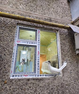 Изготовление, Регулировка, Ремонт, Реставрация пластиковые окна двери