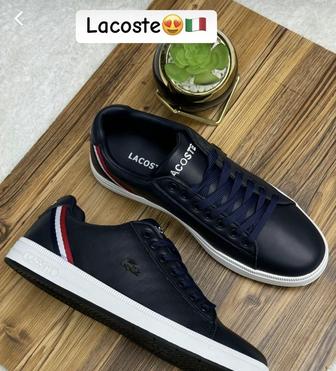 Кеды Lacoste