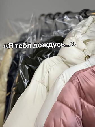 Химчистка пуховиков