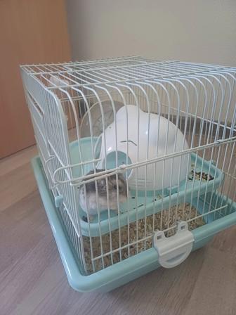 Клетка для хомяка, шар, поилка