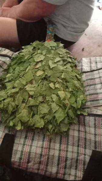 Продаю веники для бани