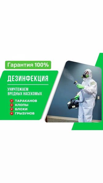 Дезинфекция от тараканов клопов Уничтожение насекомых