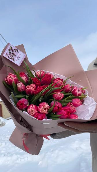 Тюльпана Караганда