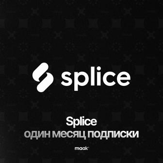 Splice, Sounds, Creator, подписка на месяц