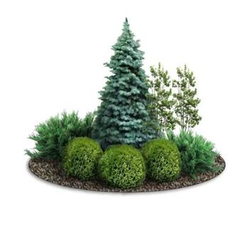 Ландшафтный дизайн в Алматы