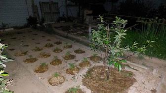 Уборка территории огорода