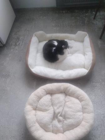 Продам лежаки 2 шт для кошек,собак