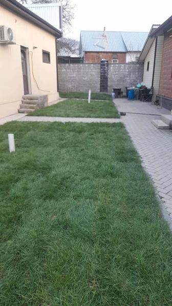 Укладка рулонного газона