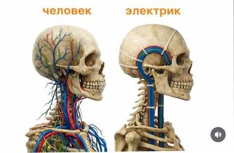 Электрик 220-380В