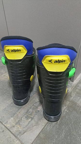 Ботинки горнолыжные