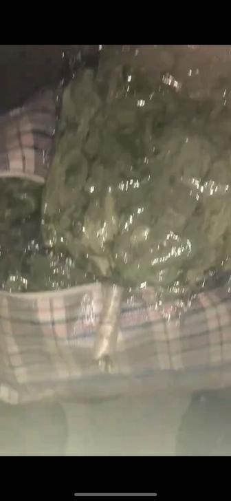 Продажа дубовых веников