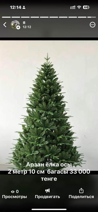 Новогодняя ёлка