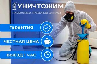 Дезинфекция/Дезинсекция/Дератизация/ Гарантия/Результат
