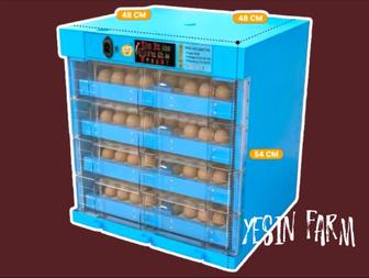 Инкубаторы для вывода птиц с точным контролем