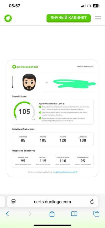 Профессионал Поможем сдать Duolingo Дуолинго