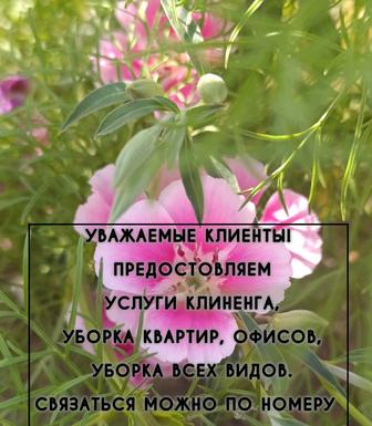 Помощь домохозякам