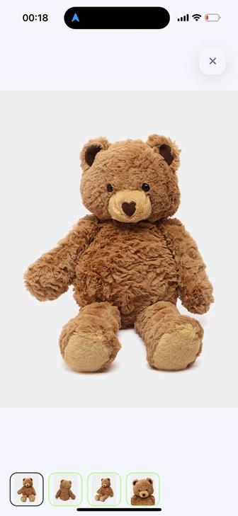 Медведь новый!