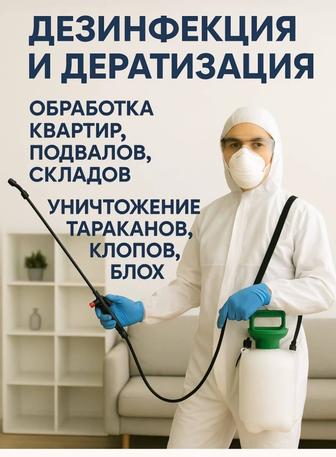 Дезинфекции и дератизация