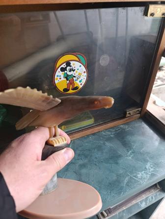 Орел из кости разборный из СССР винтаж ретро