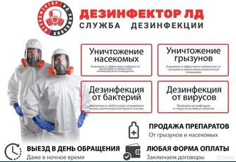 Дезинфекция, дезинсекция