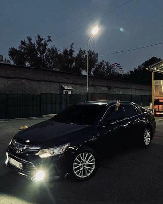 Трезвый водитель