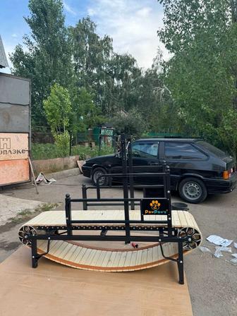 Механическая дорожка для тренировки собак.