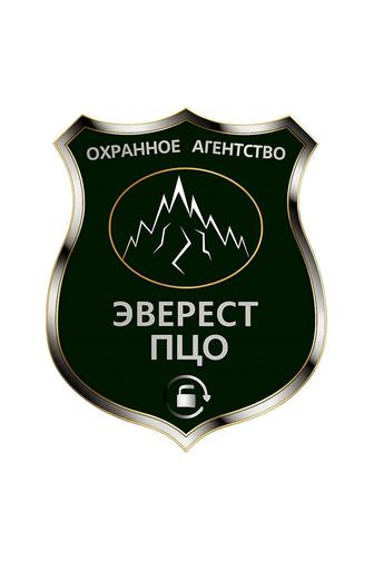 Охрана и системы безопасности