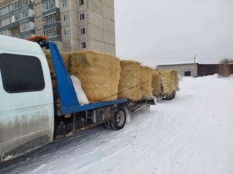 Услуги эвакуатора