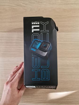 Go pro 11 (256gb)