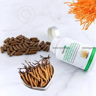 БАД Кордицепс