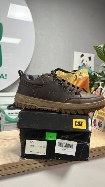 Мужские демисезонные ботинки САТ