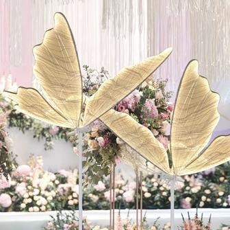 Оборудование для аэродизайна и фотозоны