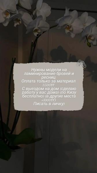 Ламинирование ресниц и бровей