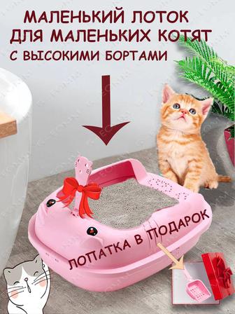 Лоток для котят