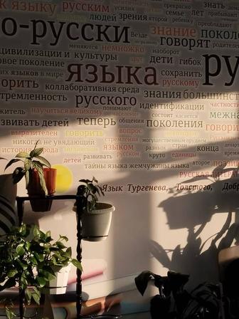 Репититор