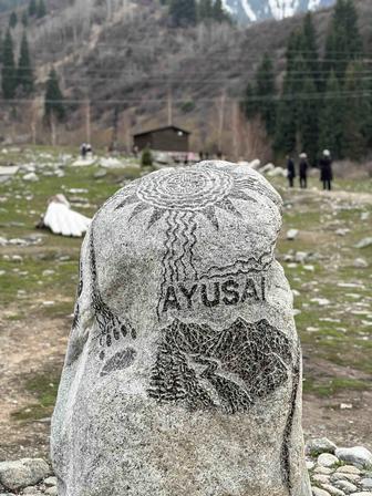 Услуги переводчика