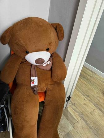 Продам Мишку